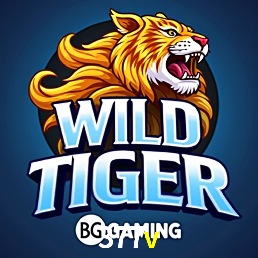 Slot Games 377v